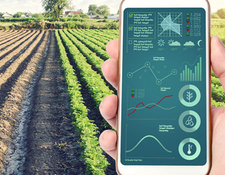 Objets connectés agriculture IoT